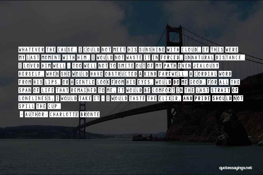 Charlotte Bronte Quotes: Whatever The Cause, I Could Not Meet His Sunshine With Cloud. If This Were My Last Moment With Him, I