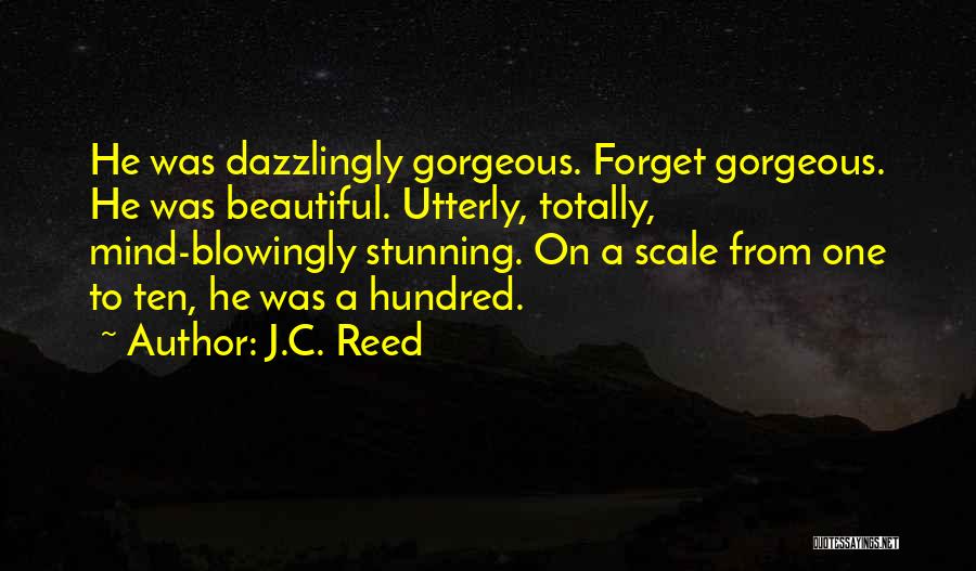 J.C. Reed Quotes: He Was Dazzlingly Gorgeous. Forget Gorgeous. He Was Beautiful. Utterly, Totally, Mind-blowingly Stunning. On A Scale From One To Ten,