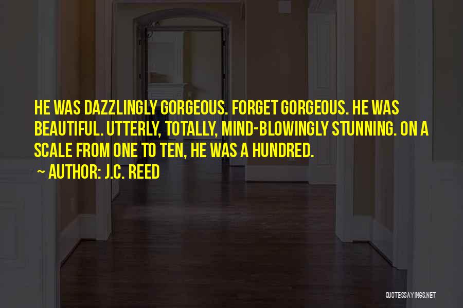 J.C. Reed Quotes: He Was Dazzlingly Gorgeous. Forget Gorgeous. He Was Beautiful. Utterly, Totally, Mind-blowingly Stunning. On A Scale From One To Ten,