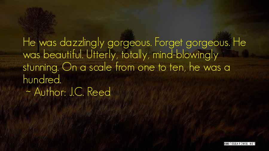 J.C. Reed Quotes: He Was Dazzlingly Gorgeous. Forget Gorgeous. He Was Beautiful. Utterly, Totally, Mind-blowingly Stunning. On A Scale From One To Ten,