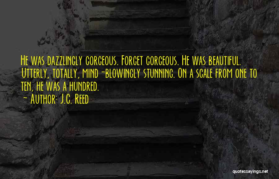 J.C. Reed Quotes: He Was Dazzlingly Gorgeous. Forget Gorgeous. He Was Beautiful. Utterly, Totally, Mind-blowingly Stunning. On A Scale From One To Ten,