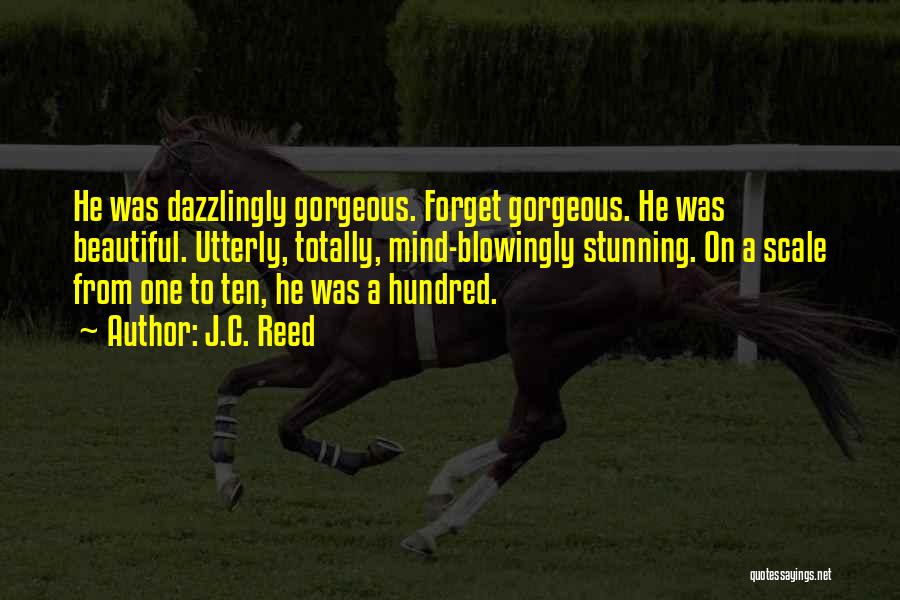 J.C. Reed Quotes: He Was Dazzlingly Gorgeous. Forget Gorgeous. He Was Beautiful. Utterly, Totally, Mind-blowingly Stunning. On A Scale From One To Ten,