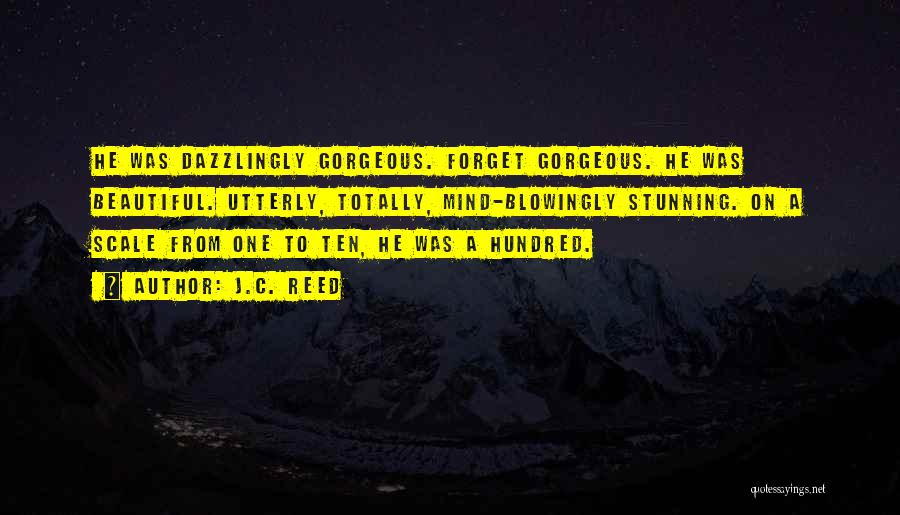 J.C. Reed Quotes: He Was Dazzlingly Gorgeous. Forget Gorgeous. He Was Beautiful. Utterly, Totally, Mind-blowingly Stunning. On A Scale From One To Ten,