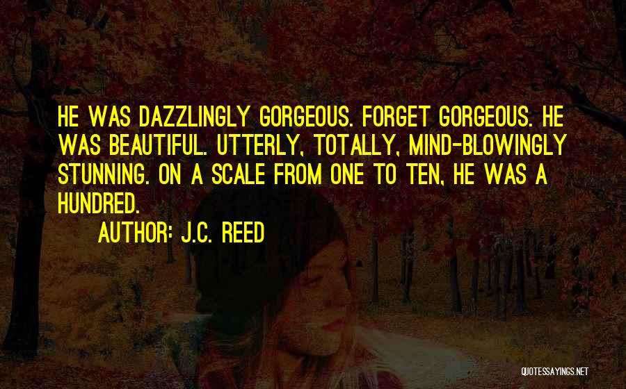 J.C. Reed Quotes: He Was Dazzlingly Gorgeous. Forget Gorgeous. He Was Beautiful. Utterly, Totally, Mind-blowingly Stunning. On A Scale From One To Ten,