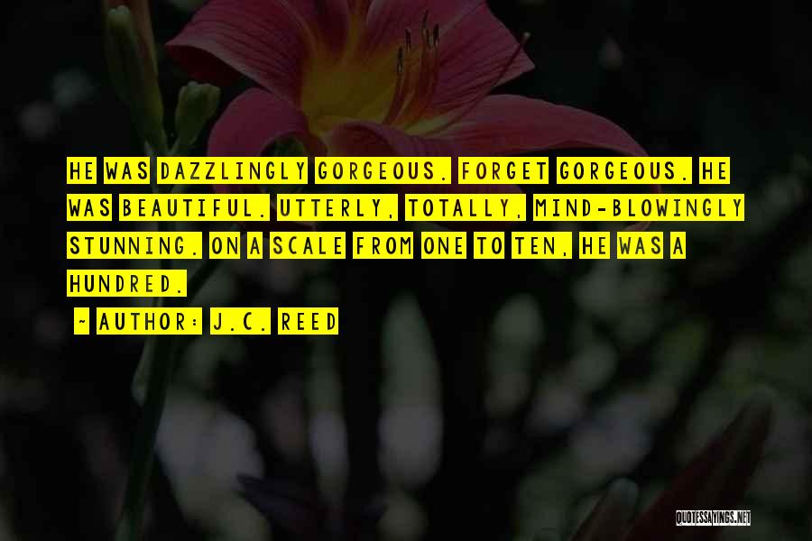 J.C. Reed Quotes: He Was Dazzlingly Gorgeous. Forget Gorgeous. He Was Beautiful. Utterly, Totally, Mind-blowingly Stunning. On A Scale From One To Ten,