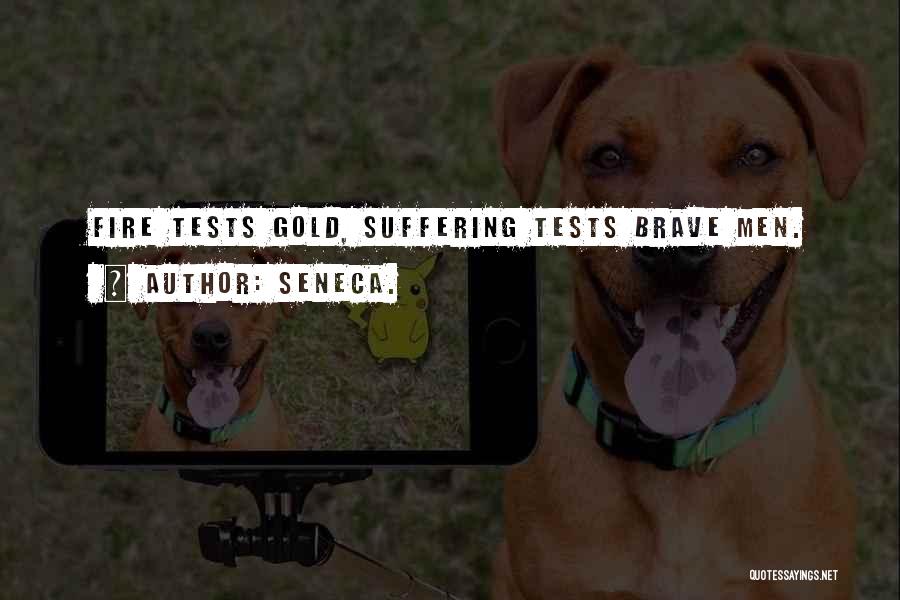Seneca. Quotes: Fire Tests Gold, Suffering Tests Brave Men.