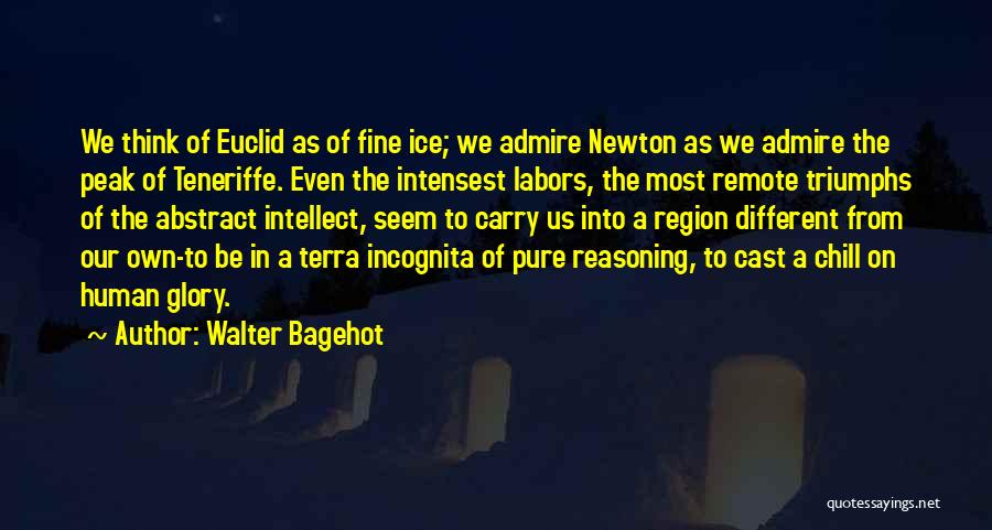 Walter Bagehot Quotes: We Think Of Euclid As Of Fine Ice; We Admire Newton As We Admire The Peak Of Teneriffe. Even The