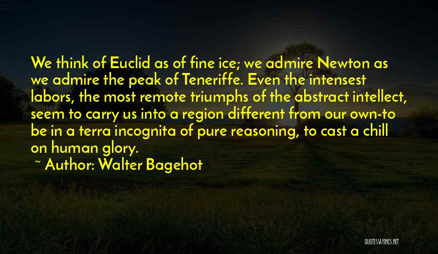 Walter Bagehot Quotes: We Think Of Euclid As Of Fine Ice; We Admire Newton As We Admire The Peak Of Teneriffe. Even The