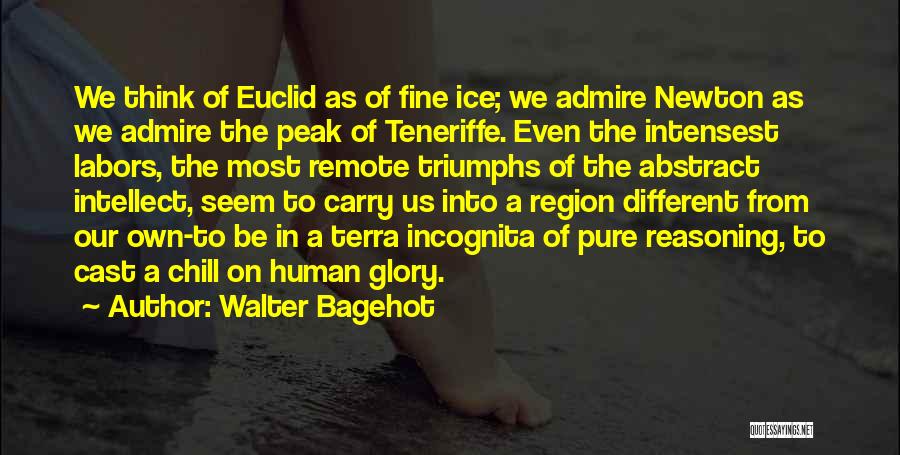 Walter Bagehot Quotes: We Think Of Euclid As Of Fine Ice; We Admire Newton As We Admire The Peak Of Teneriffe. Even The