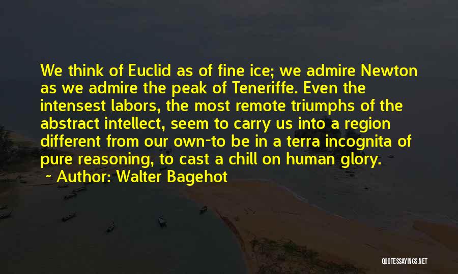 Walter Bagehot Quotes: We Think Of Euclid As Of Fine Ice; We Admire Newton As We Admire The Peak Of Teneriffe. Even The