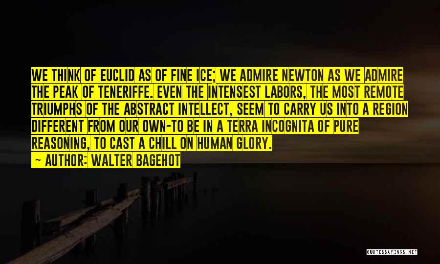 Walter Bagehot Quotes: We Think Of Euclid As Of Fine Ice; We Admire Newton As We Admire The Peak Of Teneriffe. Even The