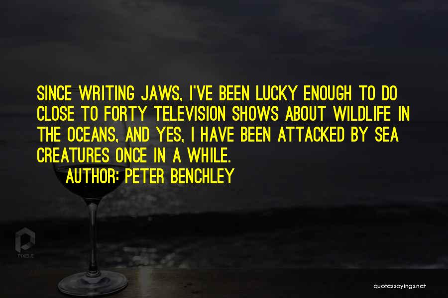 Peter Benchley Quotes: Since Writing Jaws, I've Been Lucky Enough To Do Close To Forty Television Shows About Wildlife In The Oceans, And