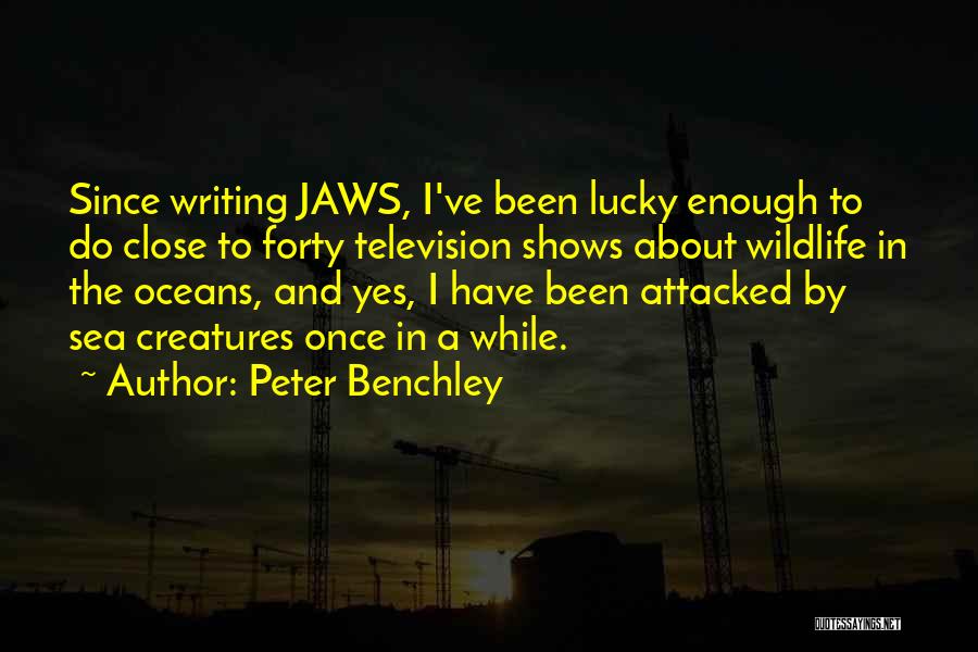 Peter Benchley Quotes: Since Writing Jaws, I've Been Lucky Enough To Do Close To Forty Television Shows About Wildlife In The Oceans, And
