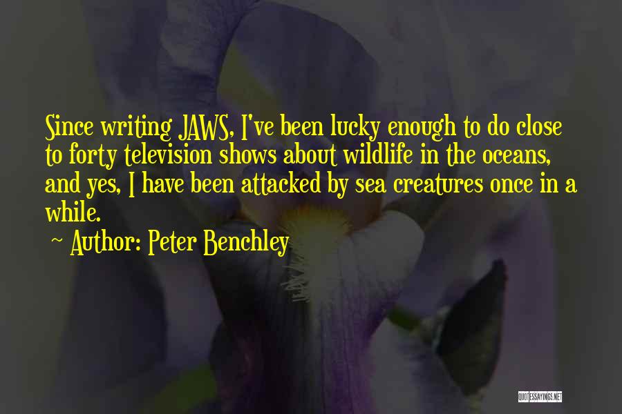 Peter Benchley Quotes: Since Writing Jaws, I've Been Lucky Enough To Do Close To Forty Television Shows About Wildlife In The Oceans, And