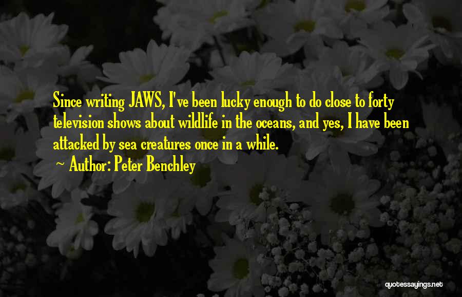 Peter Benchley Quotes: Since Writing Jaws, I've Been Lucky Enough To Do Close To Forty Television Shows About Wildlife In The Oceans, And