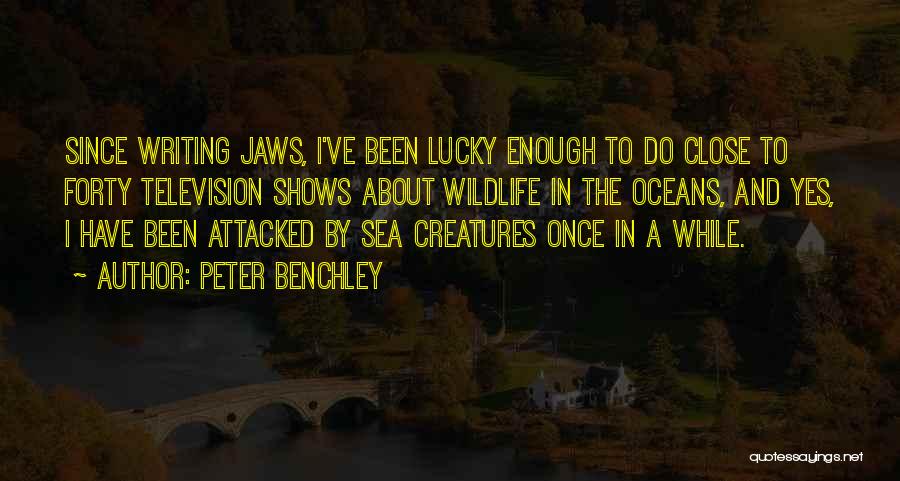 Peter Benchley Quotes: Since Writing Jaws, I've Been Lucky Enough To Do Close To Forty Television Shows About Wildlife In The Oceans, And