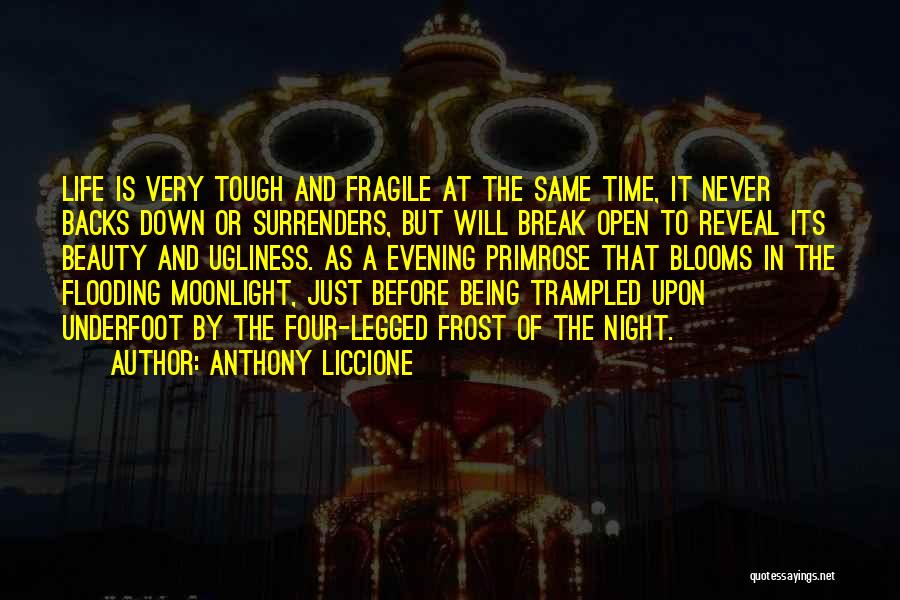 Anthony Liccione Quotes: Life Is Very Tough And Fragile At The Same Time, It Never Backs Down Or Surrenders, But Will Break Open