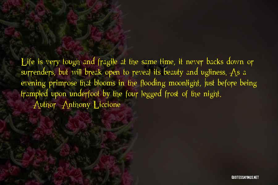 Anthony Liccione Quotes: Life Is Very Tough And Fragile At The Same Time, It Never Backs Down Or Surrenders, But Will Break Open