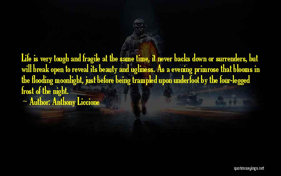 Anthony Liccione Quotes: Life Is Very Tough And Fragile At The Same Time, It Never Backs Down Or Surrenders, But Will Break Open