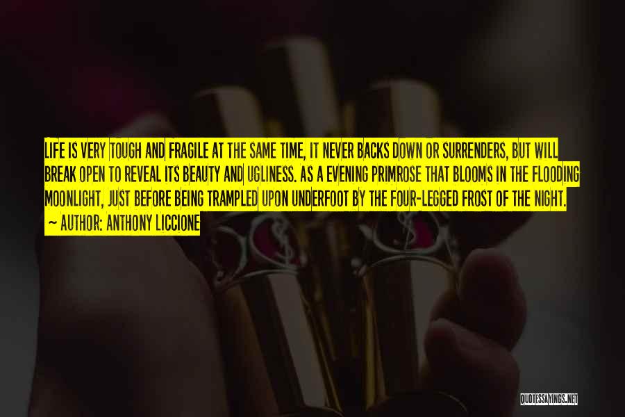 Anthony Liccione Quotes: Life Is Very Tough And Fragile At The Same Time, It Never Backs Down Or Surrenders, But Will Break Open