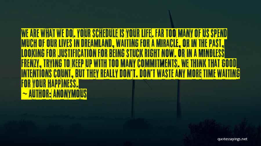 Anonymous Quotes: We Are What We Do. Your Schedule Is Your Life. Far Too Many Of Us Spend Much Of Our Lives