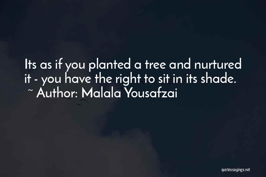 Malala Yousafzai Quotes: Its As If You Planted A Tree And Nurtured It - You Have The Right To Sit In Its Shade.