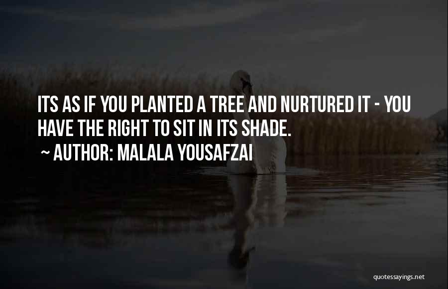 Malala Yousafzai Quotes: Its As If You Planted A Tree And Nurtured It - You Have The Right To Sit In Its Shade.