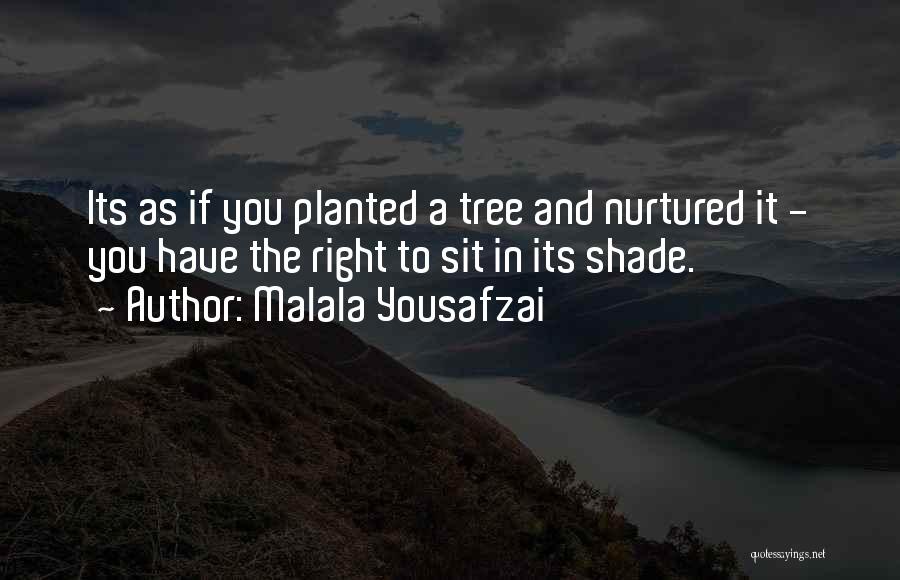 Malala Yousafzai Quotes: Its As If You Planted A Tree And Nurtured It - You Have The Right To Sit In Its Shade.