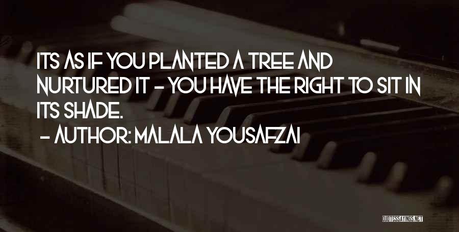 Malala Yousafzai Quotes: Its As If You Planted A Tree And Nurtured It - You Have The Right To Sit In Its Shade.