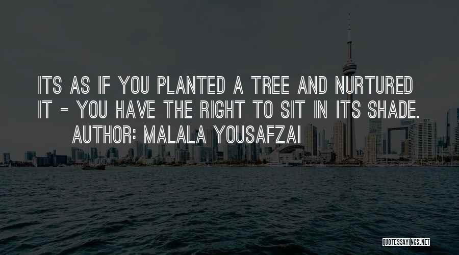 Malala Yousafzai Quotes: Its As If You Planted A Tree And Nurtured It - You Have The Right To Sit In Its Shade.