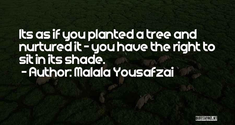 Malala Yousafzai Quotes: Its As If You Planted A Tree And Nurtured It - You Have The Right To Sit In Its Shade.