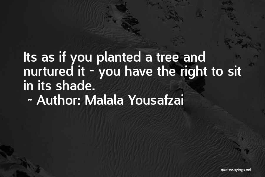 Malala Yousafzai Quotes: Its As If You Planted A Tree And Nurtured It - You Have The Right To Sit In Its Shade.