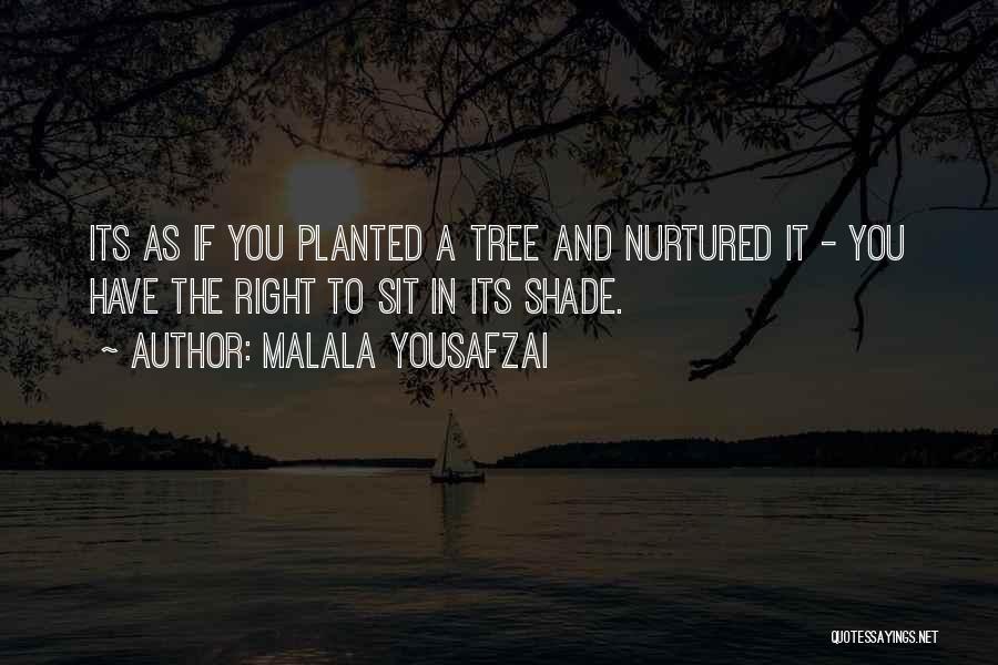 Malala Yousafzai Quotes: Its As If You Planted A Tree And Nurtured It - You Have The Right To Sit In Its Shade.