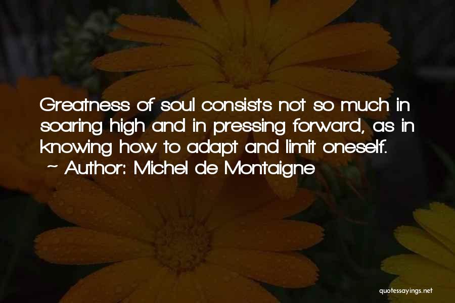 Michel De Montaigne Quotes: Greatness Of Soul Consists Not So Much In Soaring High And In Pressing Forward, As In Knowing How To Adapt