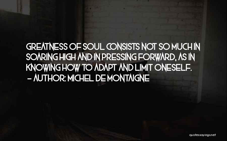 Michel De Montaigne Quotes: Greatness Of Soul Consists Not So Much In Soaring High And In Pressing Forward, As In Knowing How To Adapt