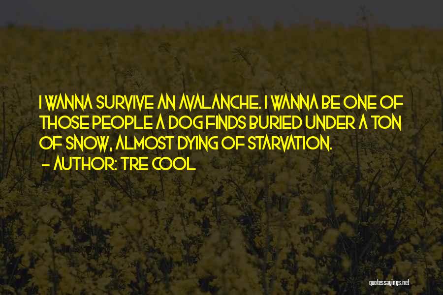 Tre Cool Quotes: I Wanna Survive An Avalanche. I Wanna Be One Of Those People A Dog Finds Buried Under A Ton Of