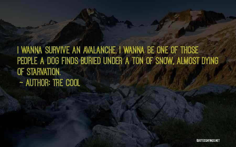 Tre Cool Quotes: I Wanna Survive An Avalanche. I Wanna Be One Of Those People A Dog Finds Buried Under A Ton Of