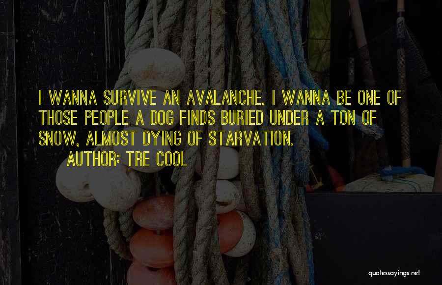 Tre Cool Quotes: I Wanna Survive An Avalanche. I Wanna Be One Of Those People A Dog Finds Buried Under A Ton Of