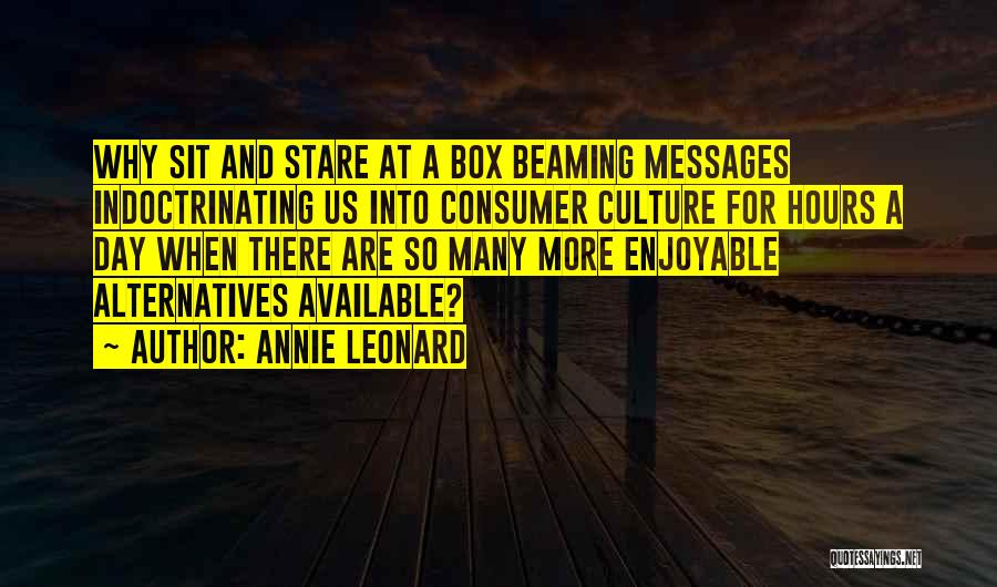 Annie Leonard Quotes: Why Sit And Stare At A Box Beaming Messages Indoctrinating Us Into Consumer Culture For Hours A Day When There