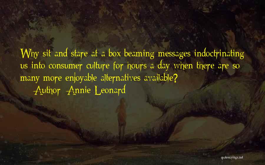 Annie Leonard Quotes: Why Sit And Stare At A Box Beaming Messages Indoctrinating Us Into Consumer Culture For Hours A Day When There