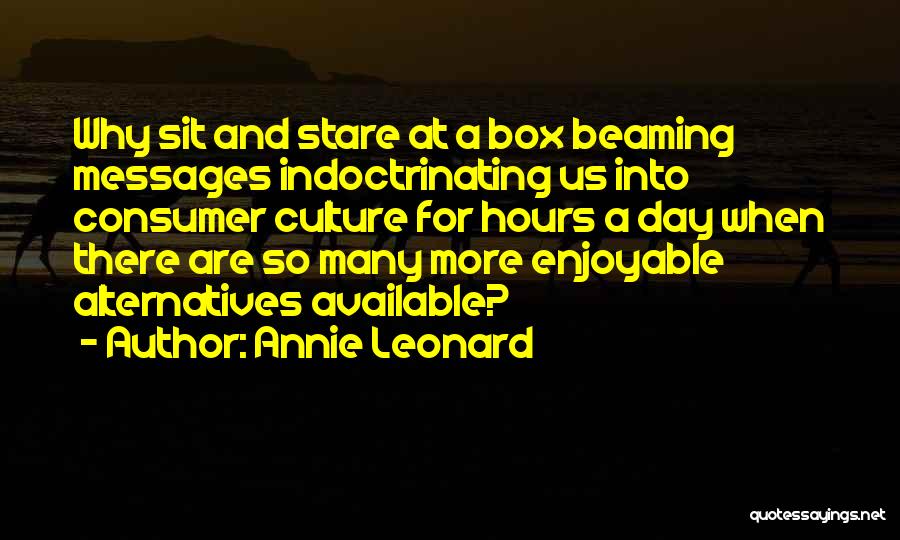 Annie Leonard Quotes: Why Sit And Stare At A Box Beaming Messages Indoctrinating Us Into Consumer Culture For Hours A Day When There