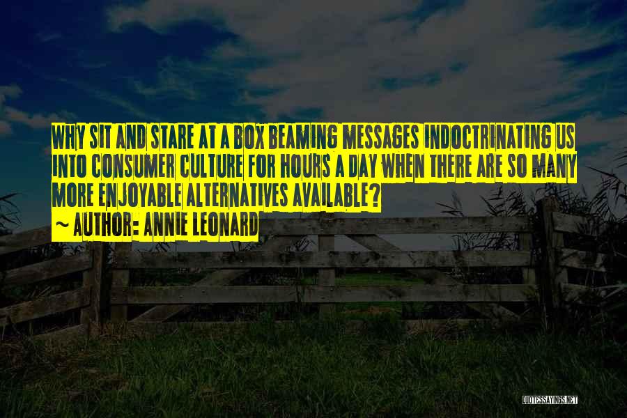 Annie Leonard Quotes: Why Sit And Stare At A Box Beaming Messages Indoctrinating Us Into Consumer Culture For Hours A Day When There