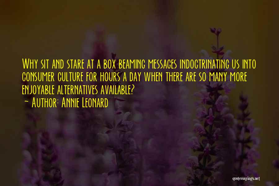 Annie Leonard Quotes: Why Sit And Stare At A Box Beaming Messages Indoctrinating Us Into Consumer Culture For Hours A Day When There