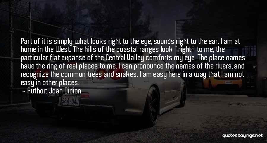 Joan Didion Quotes: Part Of It Is Simply What Looks Right To The Eye, Sounds Right To The Ear. I Am At Home