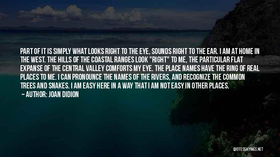 Joan Didion Quotes: Part Of It Is Simply What Looks Right To The Eye, Sounds Right To The Ear. I Am At Home