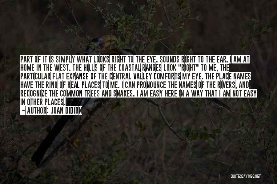 Joan Didion Quotes: Part Of It Is Simply What Looks Right To The Eye, Sounds Right To The Ear. I Am At Home