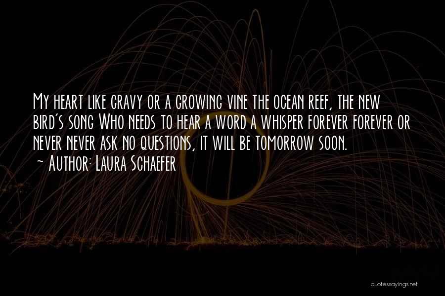 Laura Schaefer Quotes: My Heart Like Gravy Or A Growing Vine The Ocean Reef, The New Bird's Song Who Needs To Hear A