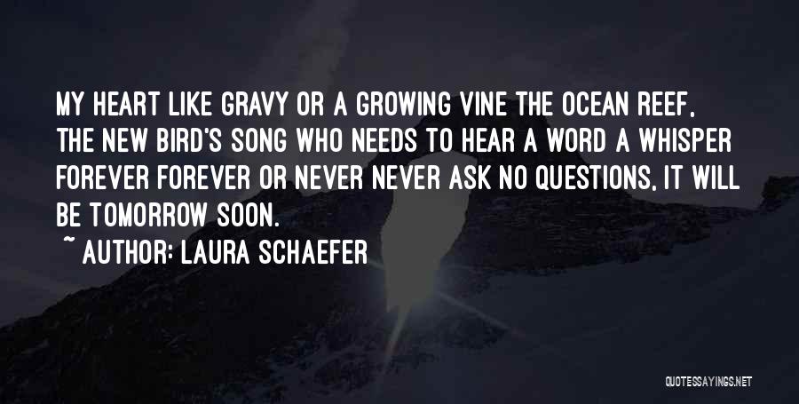 Laura Schaefer Quotes: My Heart Like Gravy Or A Growing Vine The Ocean Reef, The New Bird's Song Who Needs To Hear A