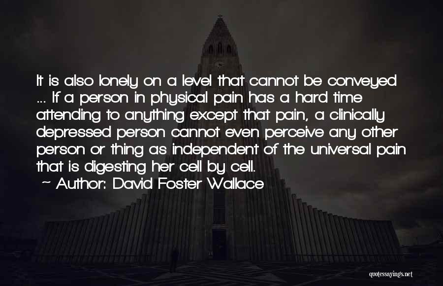 David Foster Wallace Quotes: It Is Also Lonely On A Level That Cannot Be Conveyed ... If A Person In Physical Pain Has A