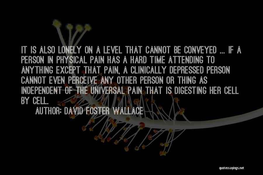 David Foster Wallace Quotes: It Is Also Lonely On A Level That Cannot Be Conveyed ... If A Person In Physical Pain Has A